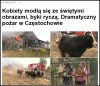 Czy płakać czy śmiać się?