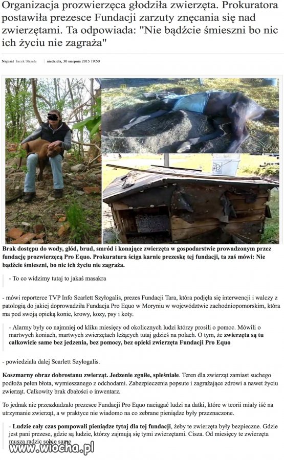 Fundacja Eko znęcała się nad zwierzętami