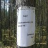 No proszę, pełne zrozumienie ze strony turystów 