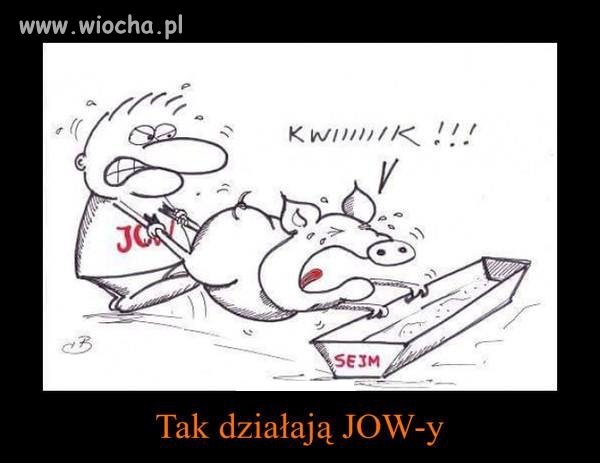 Ta działają JOWy