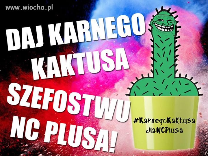 Karny Kaktus