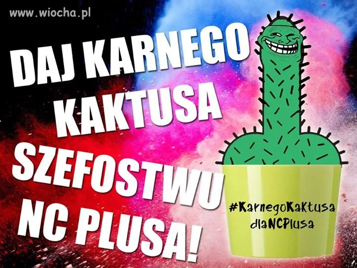 Karny Kaktus