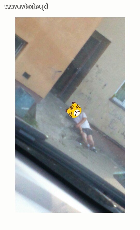 Pierwsze skutki upałów 