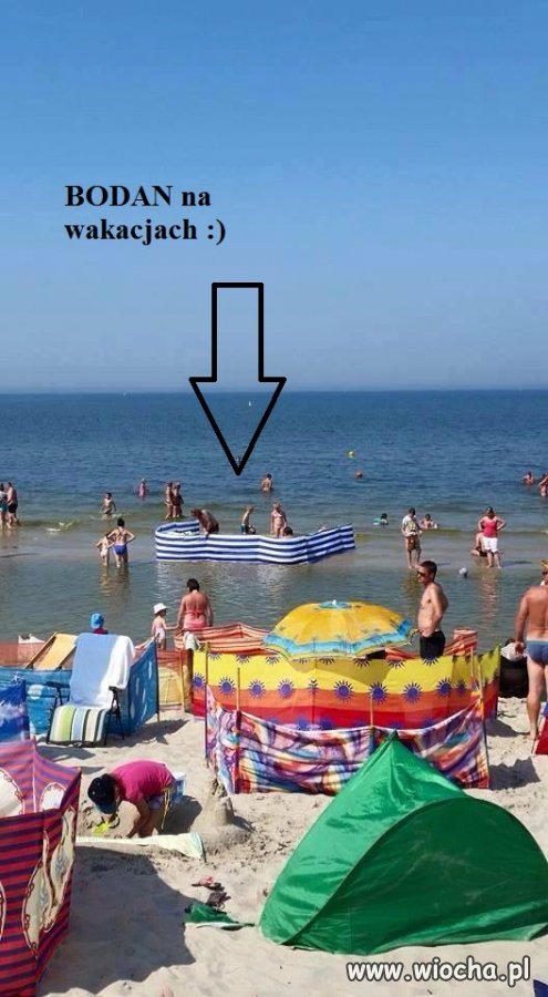 Mój jest ten...
