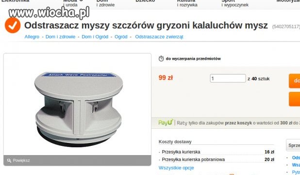 KaLaluchy i szczÓry