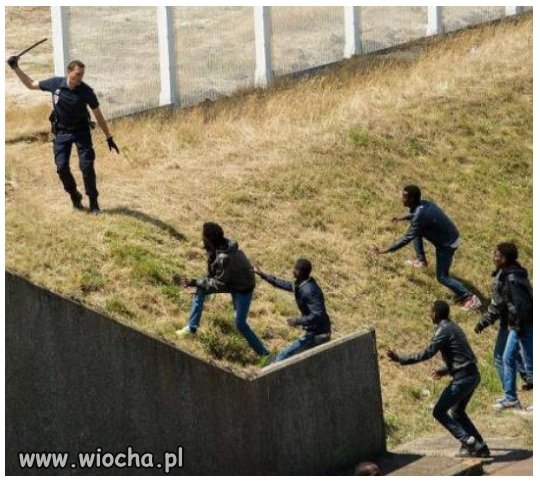 Tak powinno się witać imigrantów
