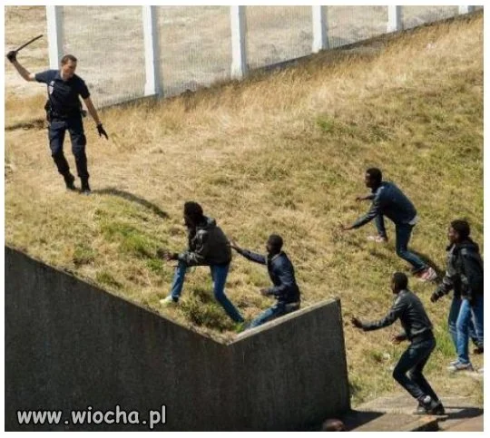 Tak powinno się witać imigrantów