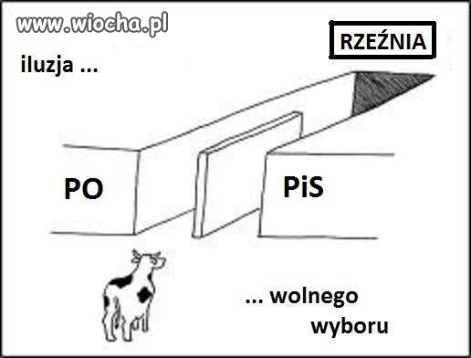 Wolny