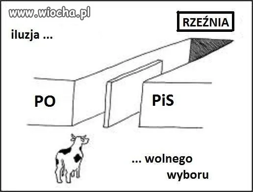 Wolny