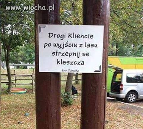 Drogi 