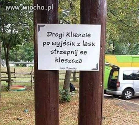 Drogi 