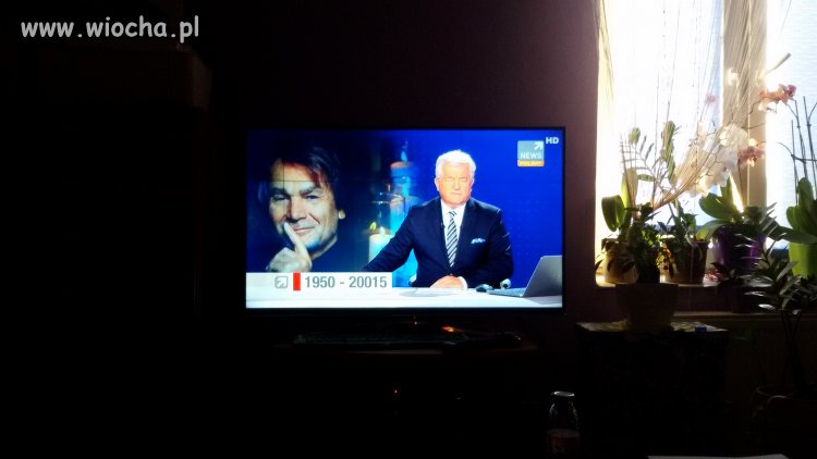 Wiecznie żywy 