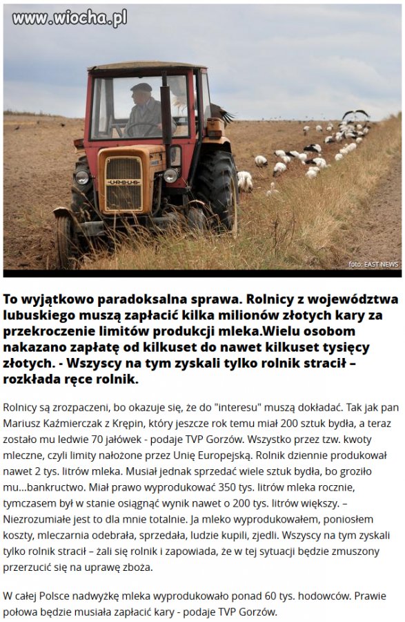 UE i jej durne przepisy
