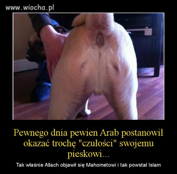 Skąd islam wziął swój początek ?