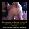 Skąd islam wziął swój początek ?