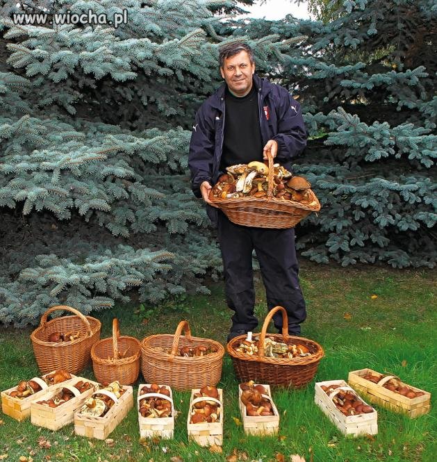 Odejść z rządu i idź na grzyby PATAŁACHU
