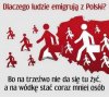 Nawet bimbru