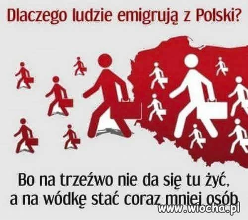 Nawet bimbru