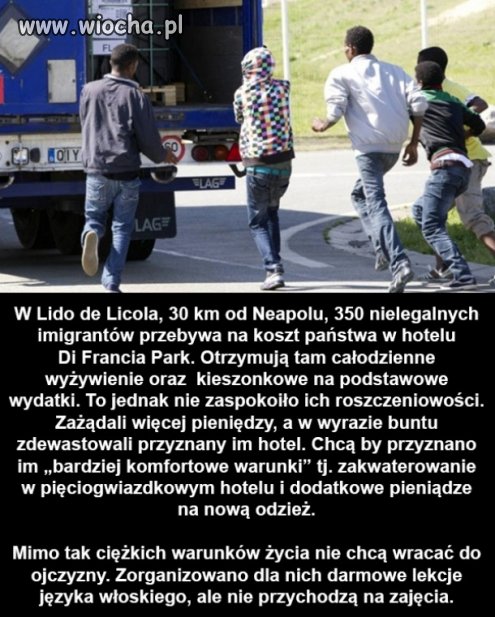Imigranci