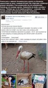 Znaleźli rannego bociana
