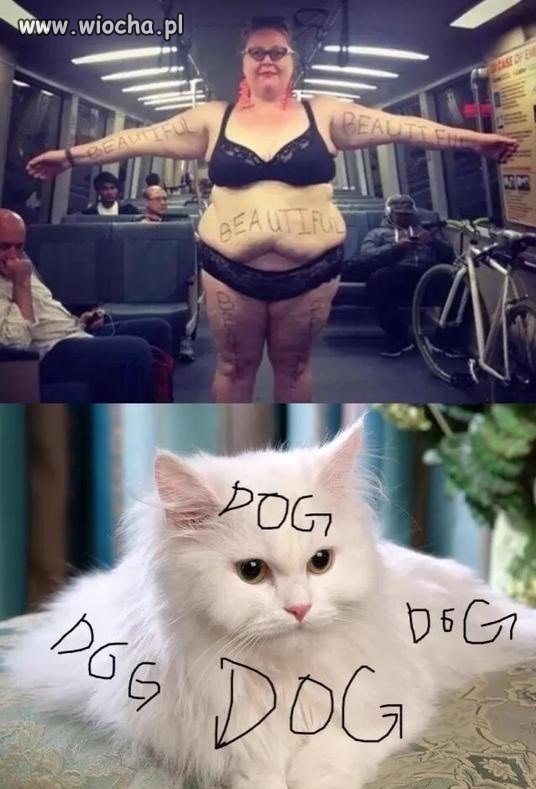 Feministka przegryw