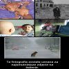 Najsmutniejsze zdjęcie