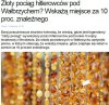 Apel do poszukiwaczy! Nie ujawniajcie miejsca..