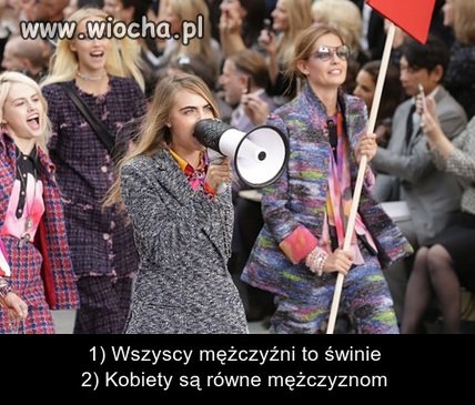 Logika feministek 