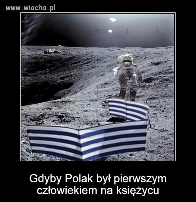 Polak