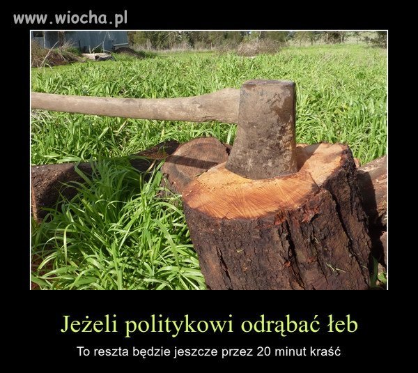 POlitycy