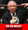 Coś czuje