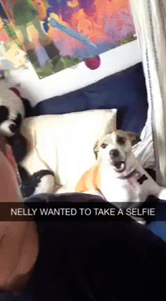 Selfie? Ja też chcę!
