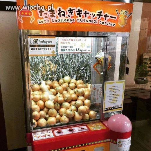 Automat z cebulą!