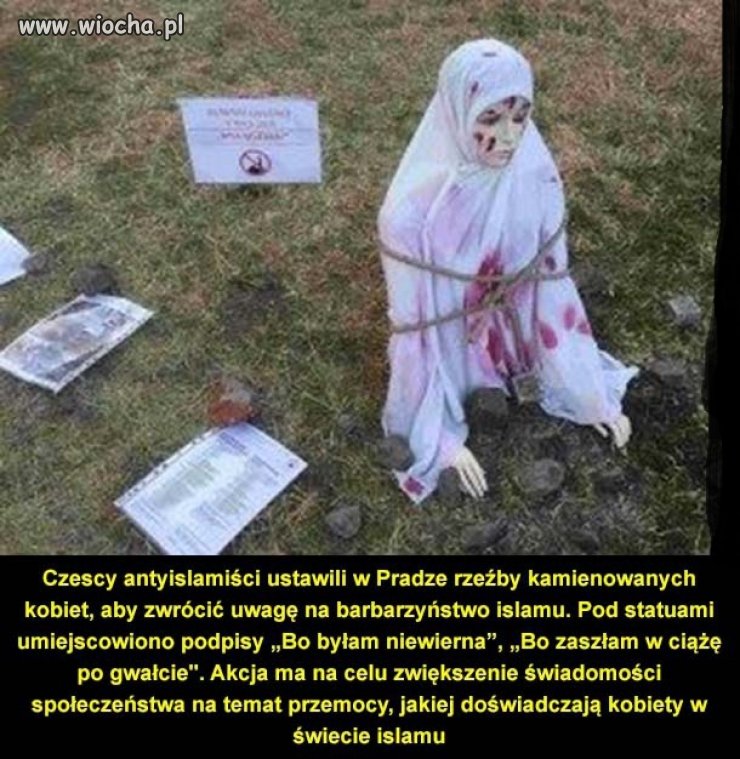 Czesi przeciwko narzuconej imigracji. 
