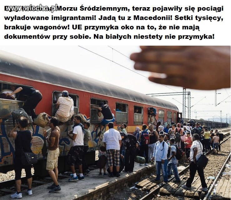 Jesteś kolorowy, nie masz dokumentów, przebywasz