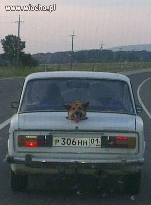 Kamera cofania...