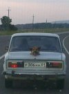 Kamera cofania...