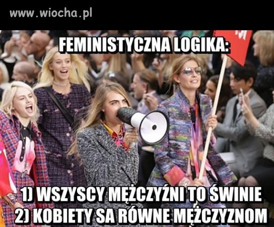 Logika feministek