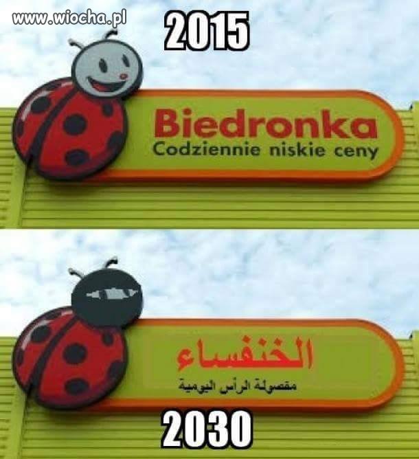 Biedronka codziennie ...