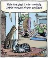 Joga
