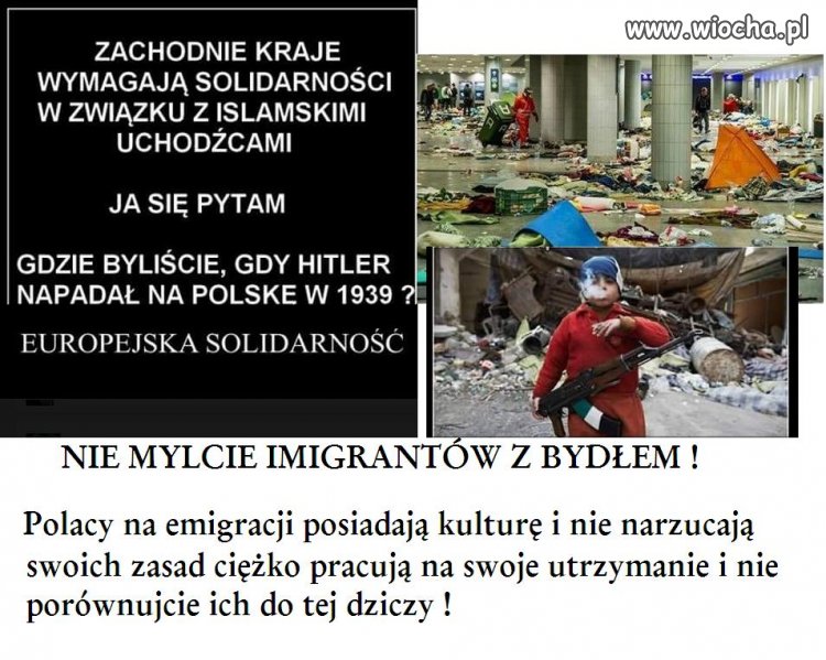 Nie porównujcie  emigrujących Polaków z tą dziczą