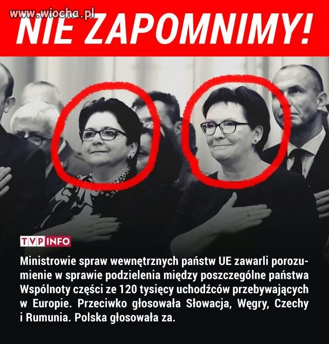 Kopacz tu 