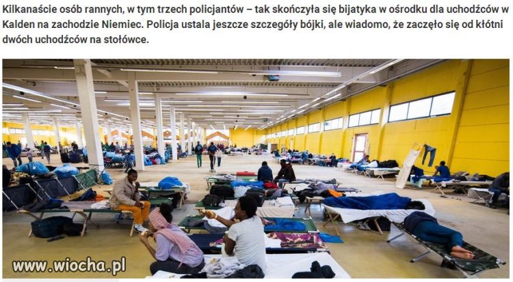 LAĆ PAŁAMI ILE WLEZIE !!