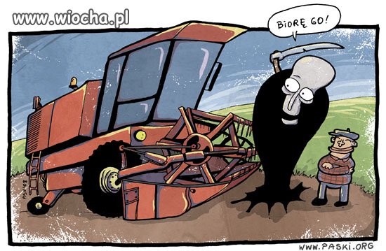 Powiadasz że muslimy się schowały w kukurydzy...