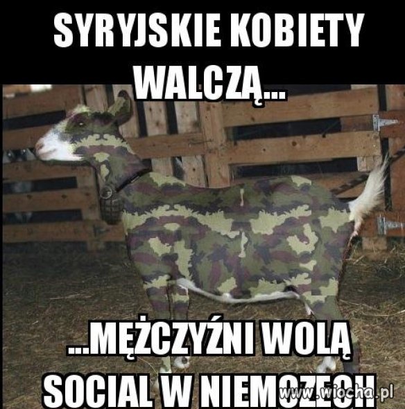 Syryjskie kobiety...