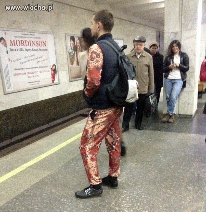 Modniś