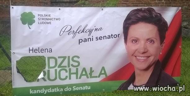 Szczęśliwa pani Helena.