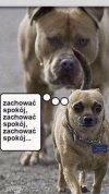 Tylko spokojnie...