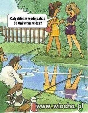 Rybki pi...