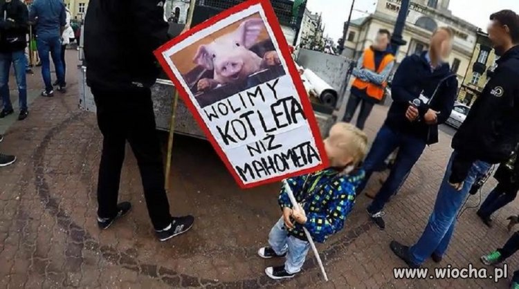Zdecydowanie mają rację